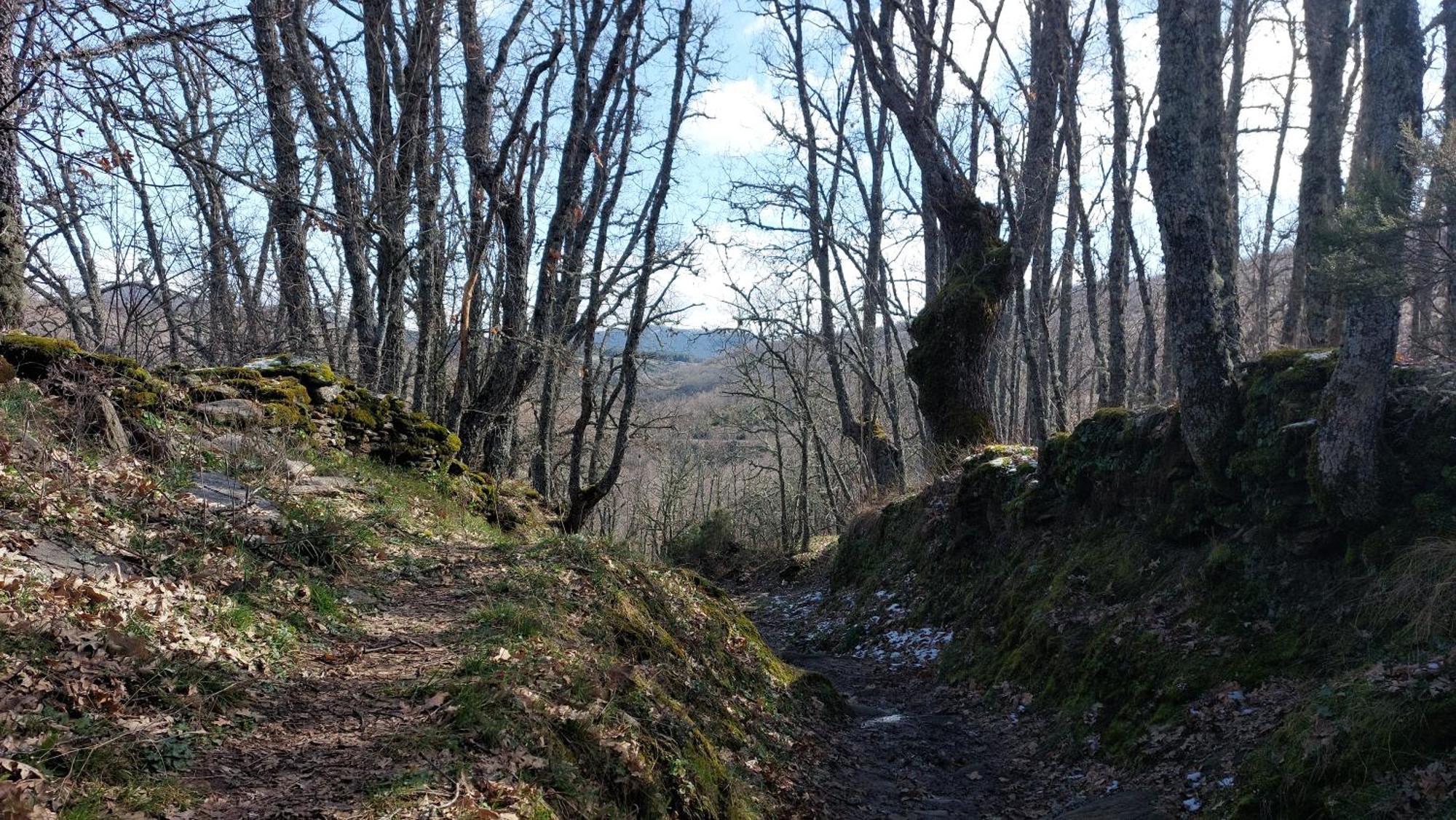 Vila El Tinao De La Hiruela Exteriér fotografie